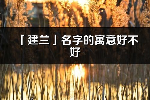 「建蘭」名字的寓意好不好_建蘭含義分析