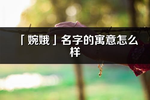 「婉娥」名字的寓意怎么樣_婉娥的出處