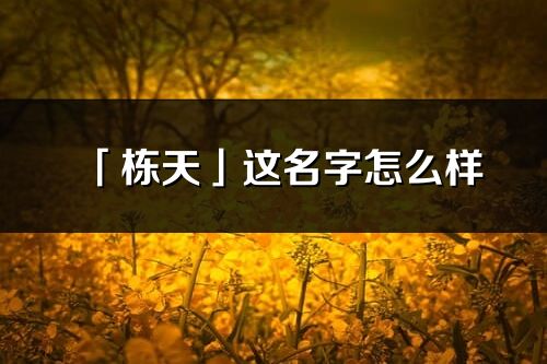 「棟天」這名字怎么樣_棟天的名字解釋