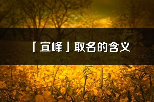 「宜峰」取名的含義_宜峰名字寓意解釋