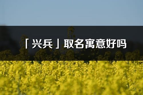 「興兵」取名寓意好嗎_興兵名字含義及五行