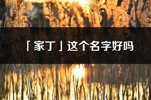 「家丁」這個(gè)名字好嗎_家丁名字寓意,含義