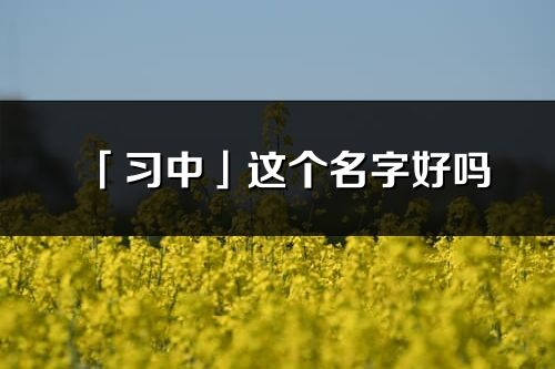 「習中」這個名字好嗎_習中名字寓意,含義