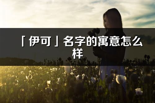 「伊可」名字的寓意怎么樣_伊可的出處