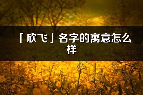 「欣飛」名字的寓意怎么樣_欣飛的出處