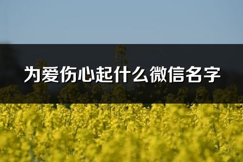 為愛傷心起什么微信名字(共393個)