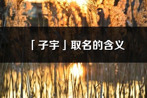 「子宇」取名的含義_子宇名字寓意解釋