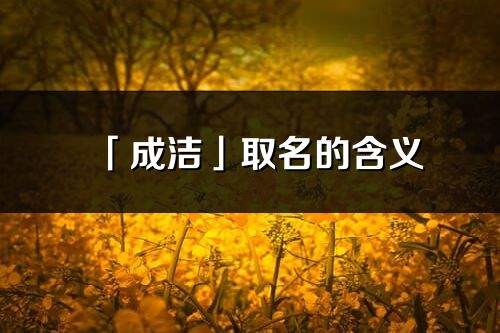 「成潔」取名的含義_成潔名字寓意解釋