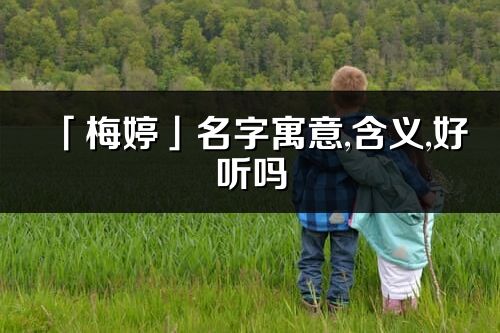 「梅婷」名字寓意,含義,好聽嗎_梅婷名字分析打分