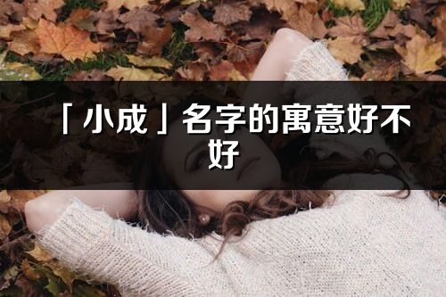 「小成」名字的寓意好不好_小成含義分析