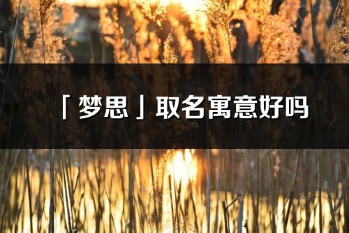 「夢思」取名寓意好嗎_夢思名字含義及寓意