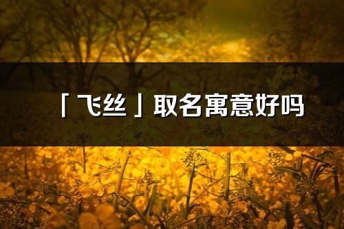 「飛絲」取名寓意好嗎_飛絲名字含義及五行