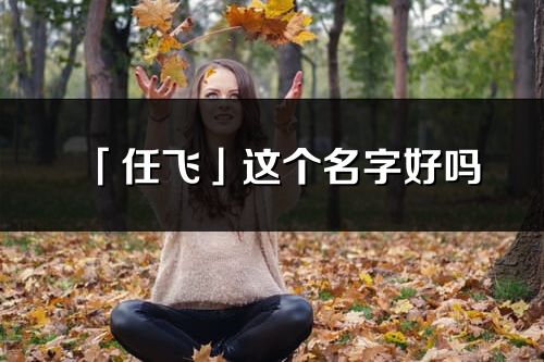 「任飛」這個名字好嗎_任飛名字寓意,含義