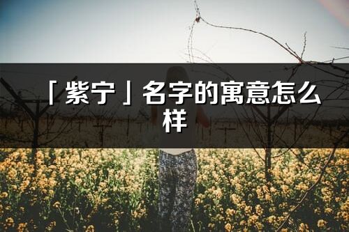 「紫寧」名字的寓意怎么樣_紫寧的出處