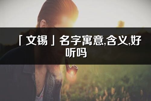 「文錫」名字寓意,含義,好聽嗎_文錫名字分析打分