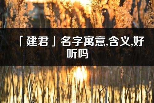 「建君」名字寓意,含義,好聽嗎_建君名字分析打分