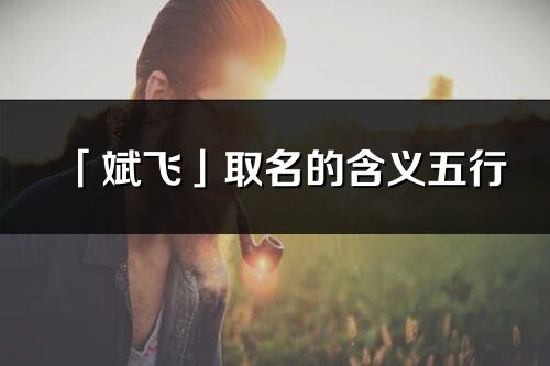 「斌飛」取名的含義五行_斌飛名字寓意解釋