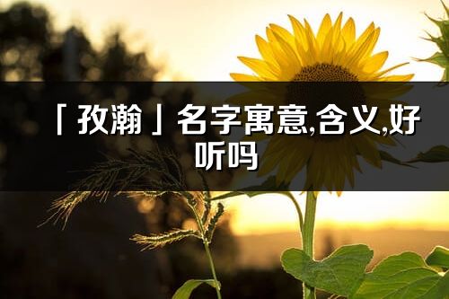 「孜瀚」名字寓意,含義,好聽嗎_孜瀚名字分析打分