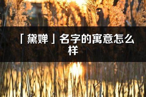 「黛嬋」名字的寓意怎么樣_黛嬋的出處