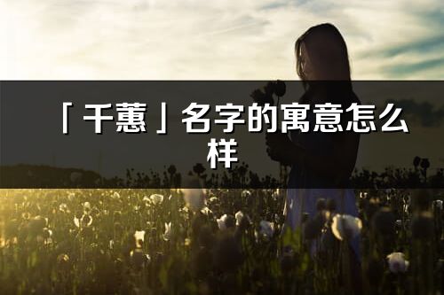 「千蕙」名字的寓意怎么樣_千蕙的出處