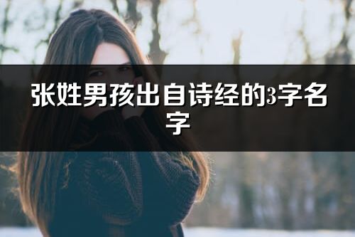 張姓男孩出自詩經的3字名字