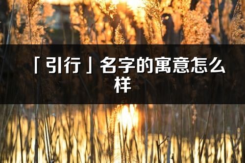 「引行」名字的寓意怎么樣_引行的出處