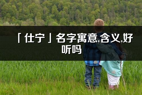 「仕寧」名字寓意,含義,好聽嗎_仕寧名字分析打分