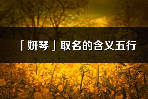 「妍琴」取名的含義五行_妍琴名字寓意解釋