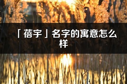 「蓓宇」名字的寓意怎么樣_蓓宇的出處