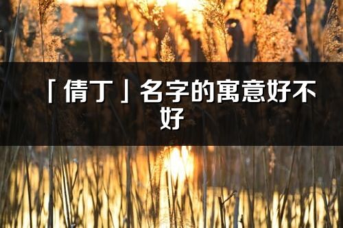 「倩丁」名字的寓意好不好_倩丁含義分析