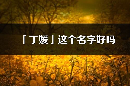 「丁媛」這個名字好嗎_丁媛名字寓意,含義