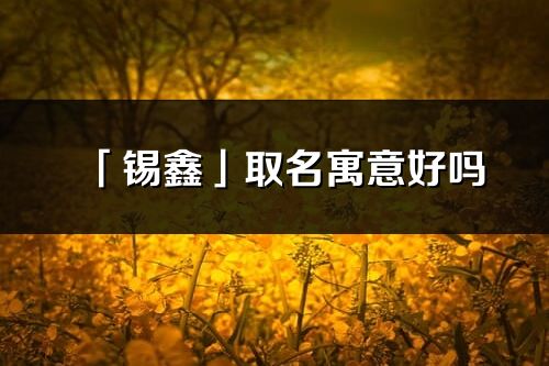 「錫鑫」取名寓意好嗎_錫鑫名字含義及五行