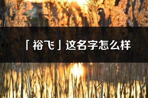 「裕飛」這名字怎么樣_裕飛的名字解釋