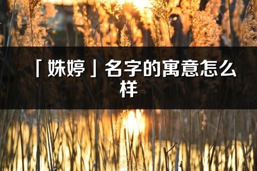 「姝婷」名字的寓意怎么樣_姝婷的出處