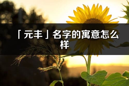 「元豐」名字的寓意怎么樣_元豐的出處