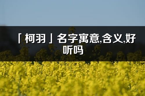 「柯羽」名字寓意,含義,好聽嗎_柯羽名字分析打分