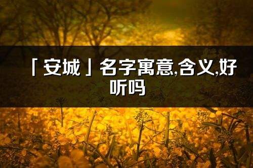 「安城」名字寓意,含義,好聽嗎_安城名字分析打分