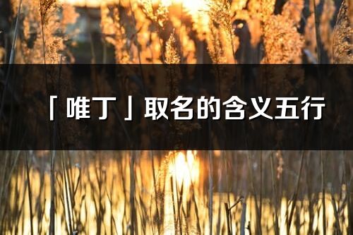 「唯丁」取名的含義五行_唯丁名字寓意解釋