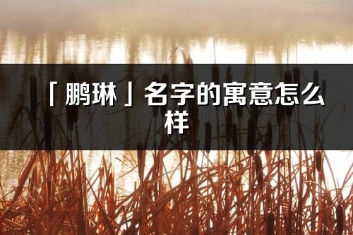 「鵬琳」名字的寓意怎么樣_鵬琳的出處