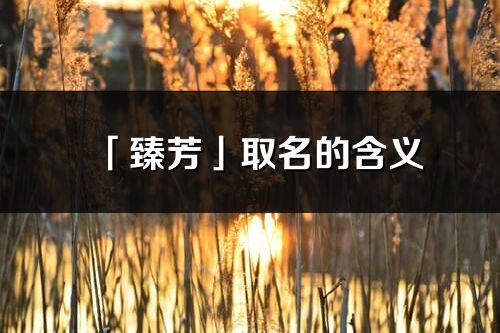 「臻芳」取名的含義_臻芳名字寓意