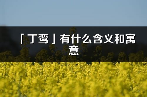 「丁鸞」有什么含義和寓意_丁鸞名字的出處與意思