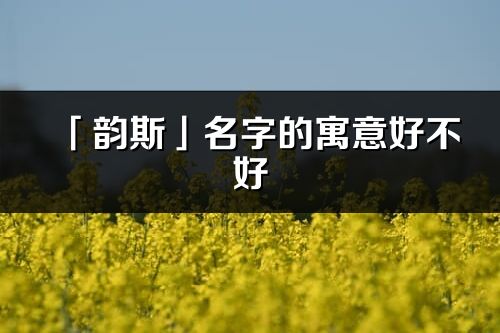 「韻斯」名字的寓意好不好_韻斯含義分析