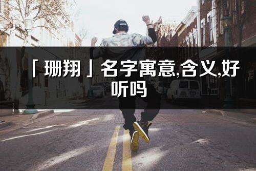 「珊翔」名字寓意,含義,好聽嗎_珊翔名字分析打分