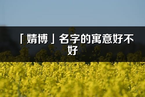 「婧博」名字的寓意好不好_婧博含義分析