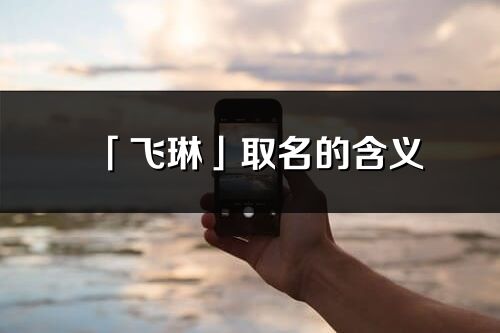 「飛琳」取名的含義_飛琳名字寓意