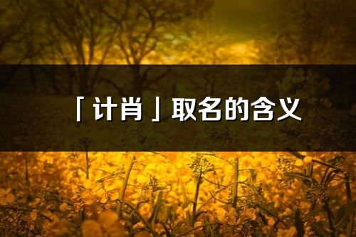 「計肖」取名的含義_計肖名字寓意解釋