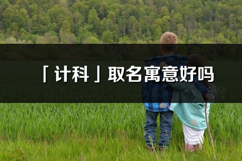 「計科」取名寓意好嗎_計科名字含義及五行