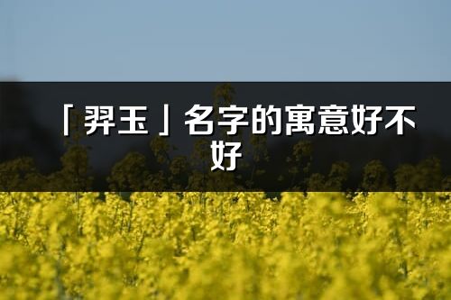 「羿玉」名字的寓意好不好_羿玉含義分析