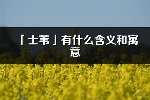 「士葦」有什么含義和寓意_士葦名字的出處與意思