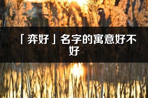 「弈好」名字的寓意好不好_弈好含義分析